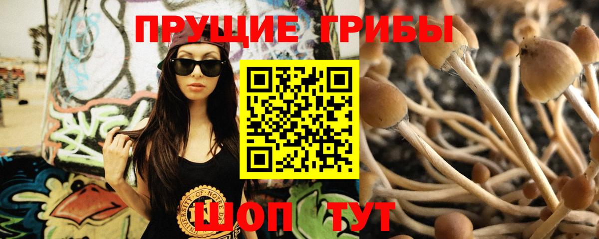 Галлюциногенные грибы Psilocybine cubensis  Псилоцибиновые грибы Cubensis  Заречный  Вход с VPN 