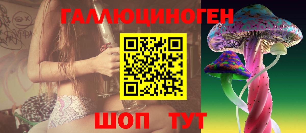 Галлюциногенные грибы Psilocybe Заречный